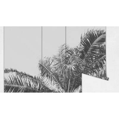 Fotobehang Groeit hier een palmboom?