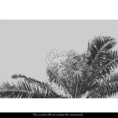 Fotobehang Groeit hier een palmboom?