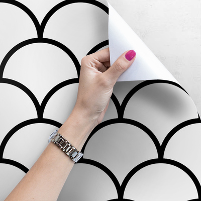 Fotobehang Schelpen in een nieuwe editie