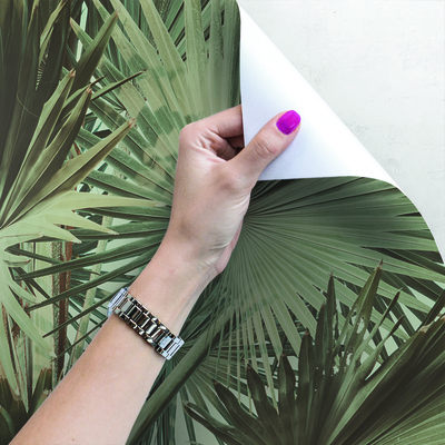 Fotobehang Een bezoek aan de tropen