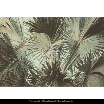 Fotobehang Een bezoek aan de tropen