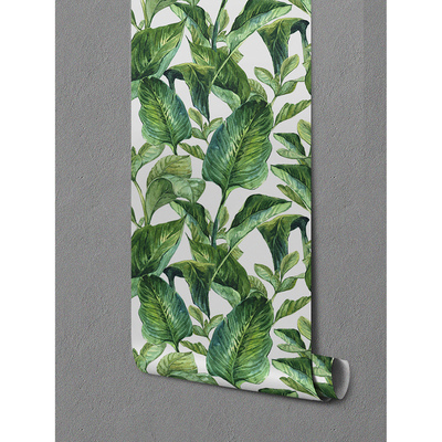 Fotobehang Groene bananenbladeren