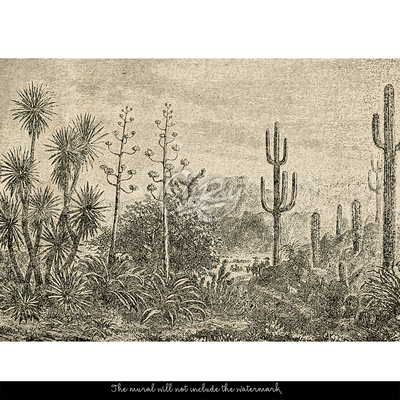 Fotobehang Dames en heren, dit is puur Mexico!