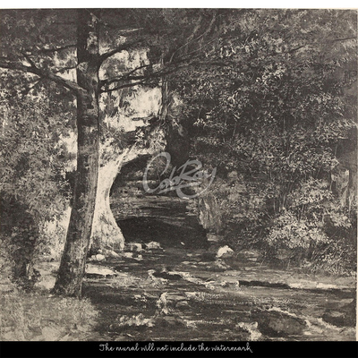 Fotobehang Bosbeer's Hol