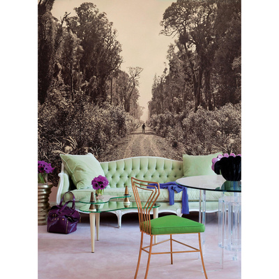 Fotobehang Wandelen langs de bosweg