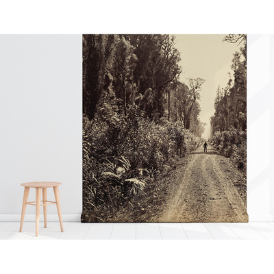 Fotobehang Wandelen langs de bosweg