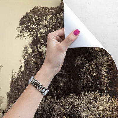 Fotobehang Wandelen langs de bosweg