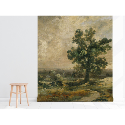 Fotobehang Schilderachtig landschap