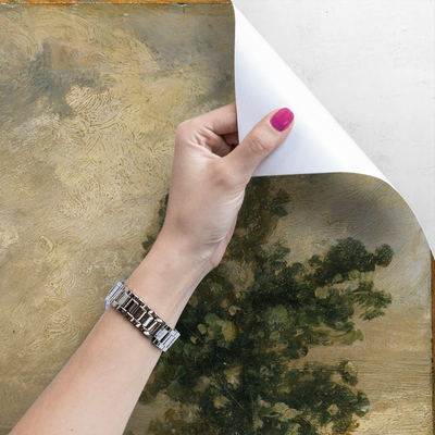 Fotobehang Schilderachtig landschap