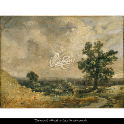 Fotobehang Schilderachtig landschap