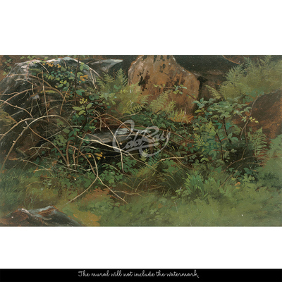 Fotobehang Nabijheid van de natuur