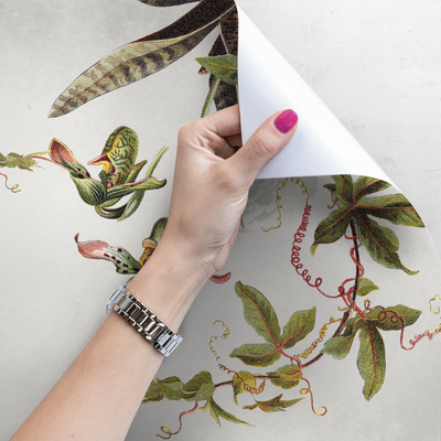 Fotobehang Een dag tussen tropische bloemen