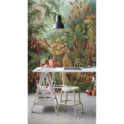 Fotobehang Tropische jungle in het stadscentrum