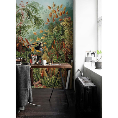 Fotobehang Tropische jungle in het stadscentrum