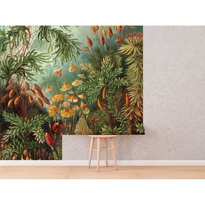 Fotobehang Tropische jungle in het stadscentrum