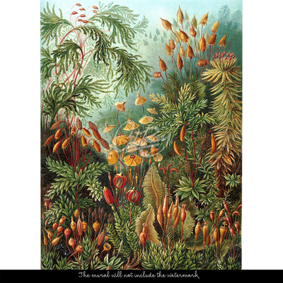 Fotobehang Tropische jungle in het stadscentrum