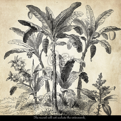 Fotobehang Vakantie op een onbewoond eiland