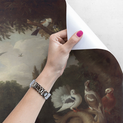 Fotobehang In het Koninkrijk der Vogels