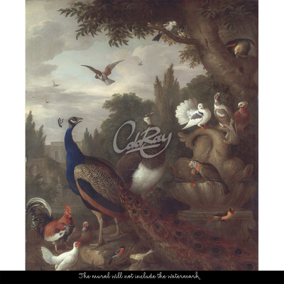 Fotobehang In het Koninkrijk der Vogels