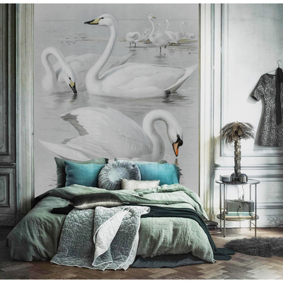 Fotobehang Ontmoeting met zwanen