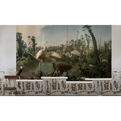 Fotobehang De charmes van Nieuw-Zeeland