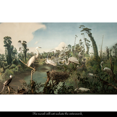 Fotobehang De charmes van Nieuw-Zeeland