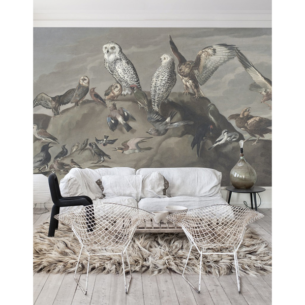 Fotobehang Uil Wijsheid