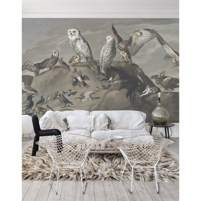 Fotobehang Uil Wijsheid