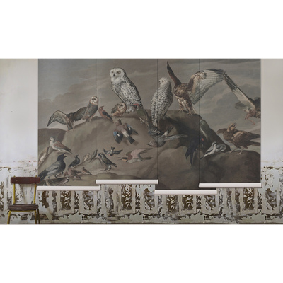 Fotobehang Uil Wijsheid