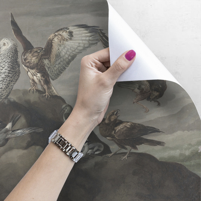 Fotobehang Uil Wijsheid