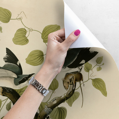 Fotobehang Vogels op een tak