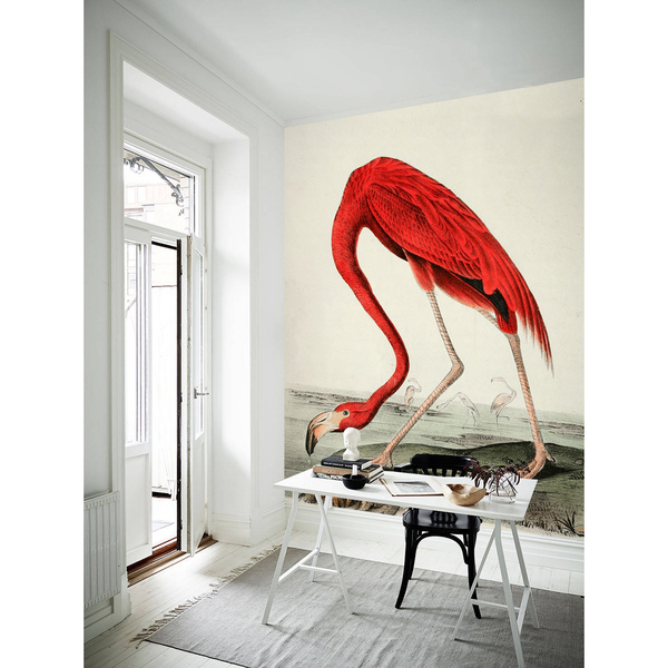 Fotobehang Grappige flamingo