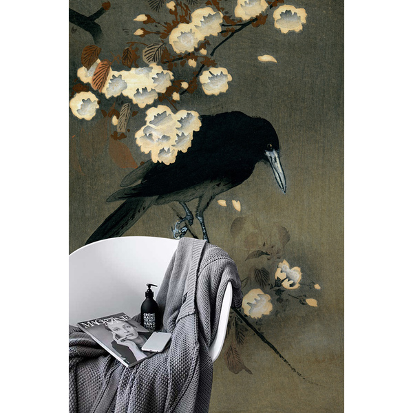 Fotobehang Mysterieuze raaf op een tak