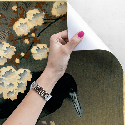 Fotobehang Mysterieuze raaf op een tak