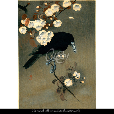 Fotobehang Mysterieuze raaf op een tak