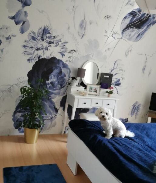 Fotobehang Koninklijke Granaat