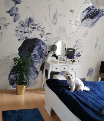 Fotobehang Koninklijke Granaat