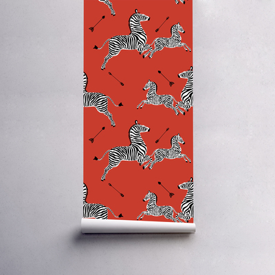 Fotobehang Zebra's op een rode achtergrond