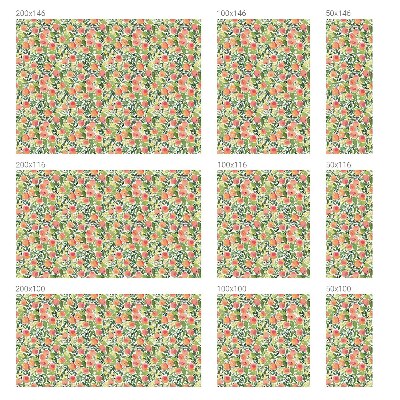 Privacy folie raam Fruitpatroon