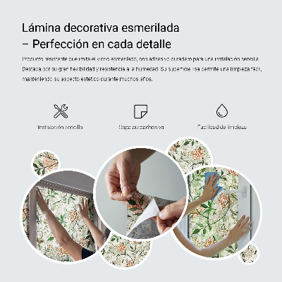 Privacy folie raam Romantische rozen