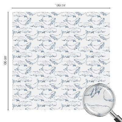 Privacy folie raam Zee-inspiraties