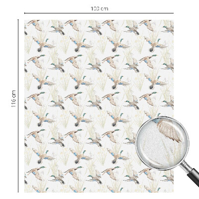 Privacy folie raam Vogels natuur