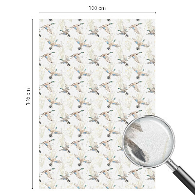 Privacy folie raam Vogels natuur