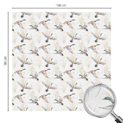 Privacy folie raam Vogels natuur