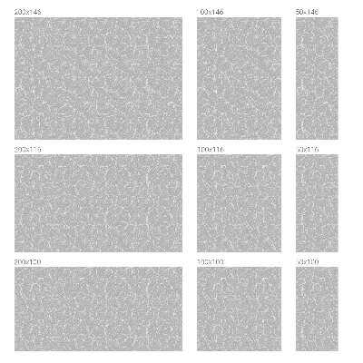 Glas in lood folie voor raam Bladrijke elegantie