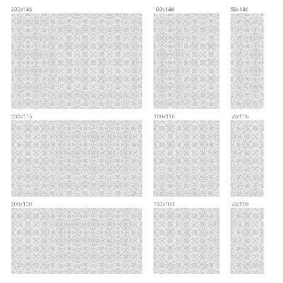 Privacy folie raam Bloemensymmetrie