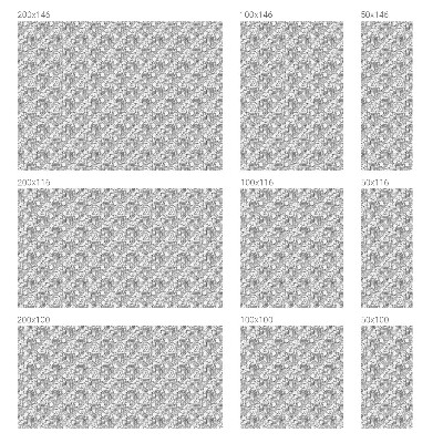 Privacy folie raam Klassieke portretten