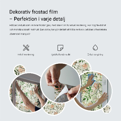 Privacy folie raam Klassiek patroon