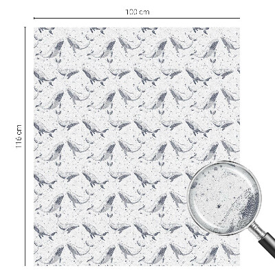 Privacy folie raam Zeedieren