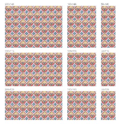 Privacy folie raam Bloemenpatronen